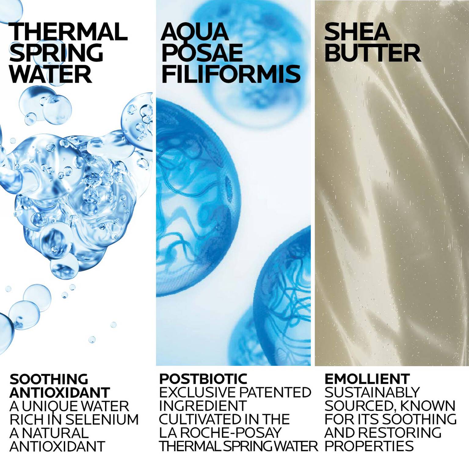 lipikar-wash-ap-moisturizing-body-and-face-wash-a6 Lipikar-Wash-ingredients_1500x1500-REV.jpg